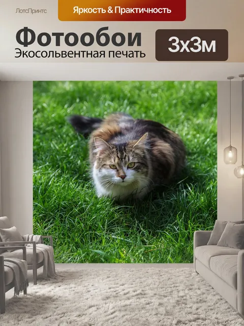 Фотообои Кошка