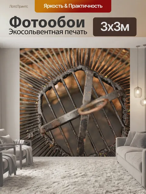 Фотообои Птичья клетка