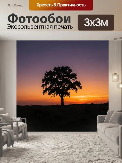 Фотообои Одинокое дерево на закате