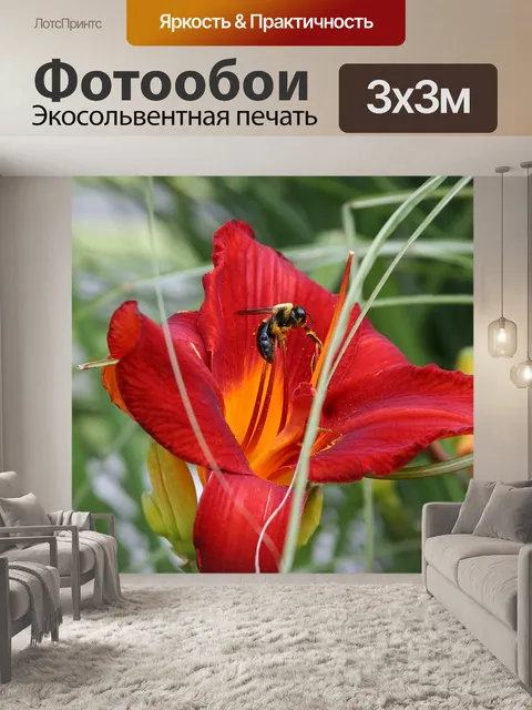 Фотообои Лили