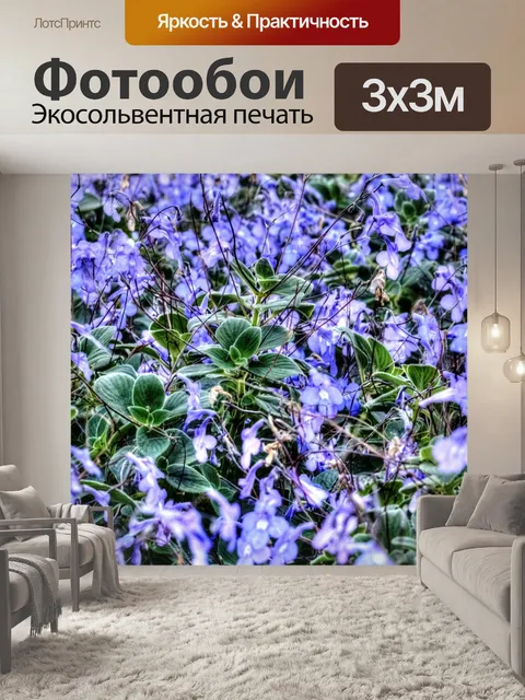 Фотообои Фиолетовый цветочный фон