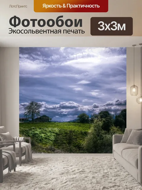 Фотообои Луг