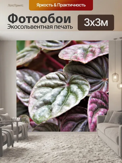 Фотообои Лист