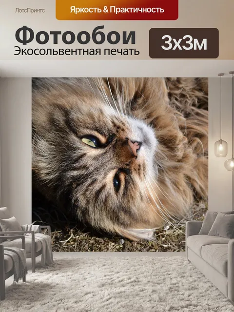 Фотообои Животное