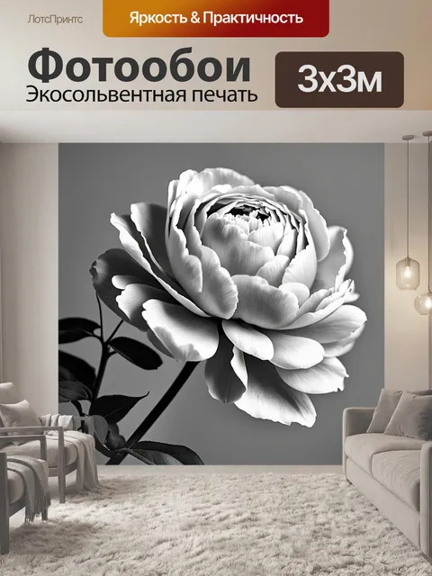 Фотообои пионы в монохромной палитре, выполненные в стиле минимализма с акцентом на текстуру и форму