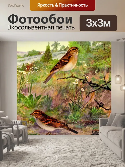 Фотообои Картина Полевой Воробей Винтажная Птица