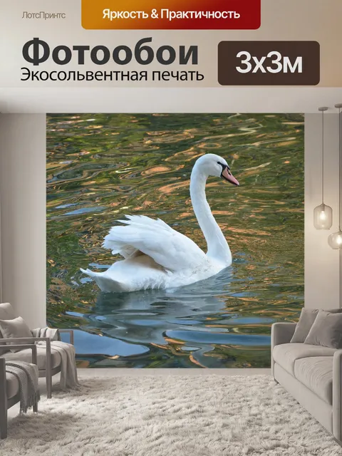 Фотообои Лебедь