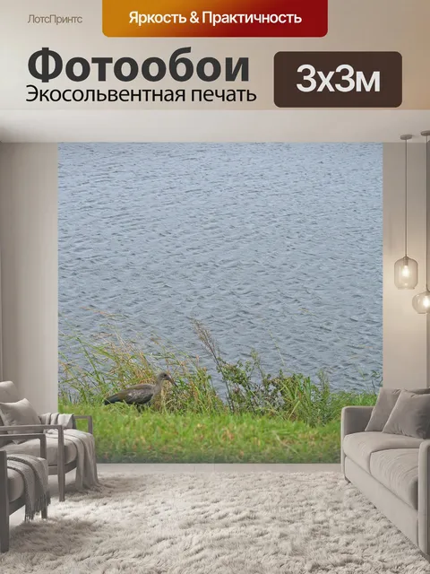 Фотообои африканский ibis на стороне плотины