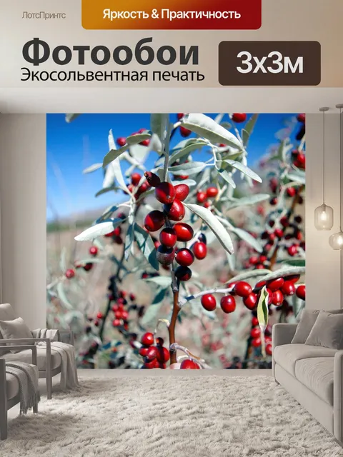 Фотообои Десерт ягодный