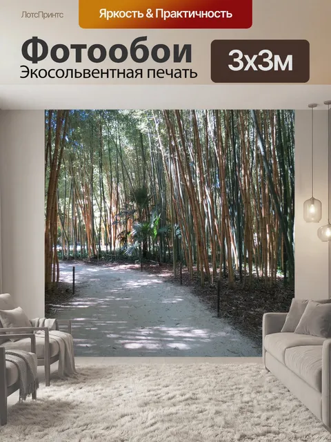 Фотообои Бамбуковая роща
