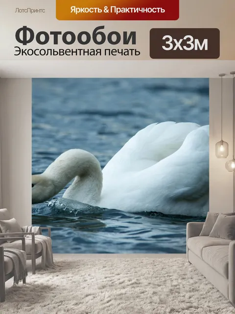 Фотообои Лебедь