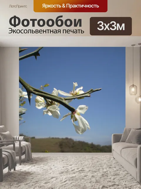 Фотообои Оранжевый цвет