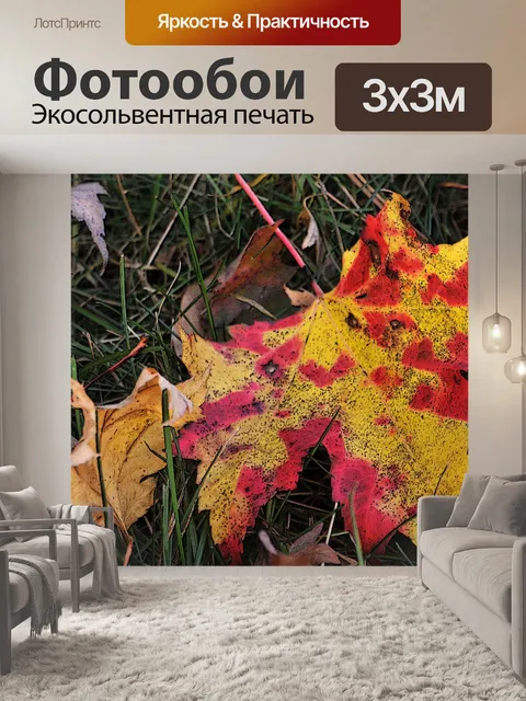 Фотообои Красный и Золотой кленовый лист