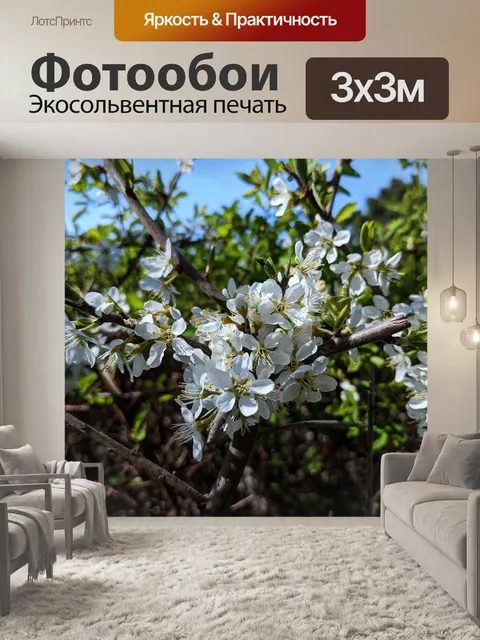 Фотообои Cherry blossom