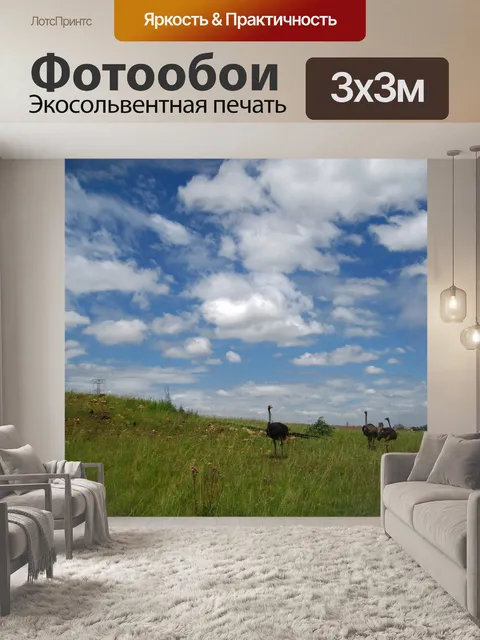 Фотообои небольшая группа страусов