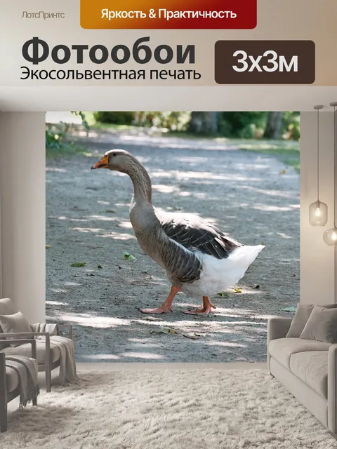 Фотообои Серый гусь