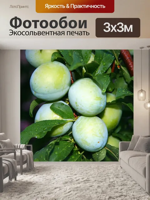 Фотообои Влажные зеленые сливы