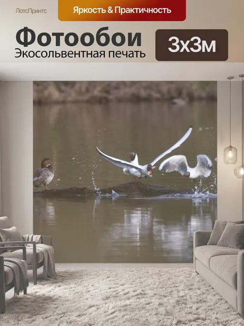 Фотообои Птица