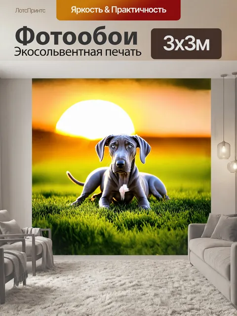 Фотообои на фоне восходящего солнца щенок веймаранера, с его характерным серым окрасом, лежит на зелёной траве