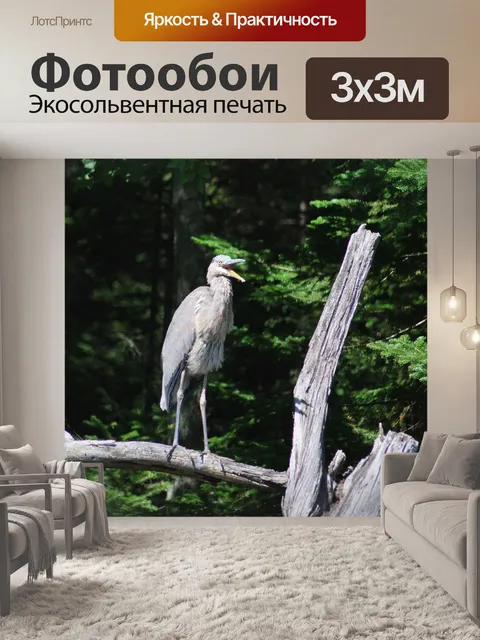 Фотообои Большая голубая цапля