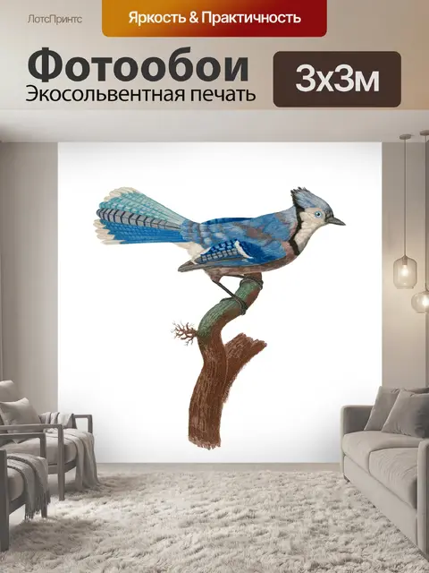 Фотообои Иллюстрация винтажного искусства птиц