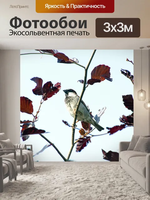 Фотообои Птица