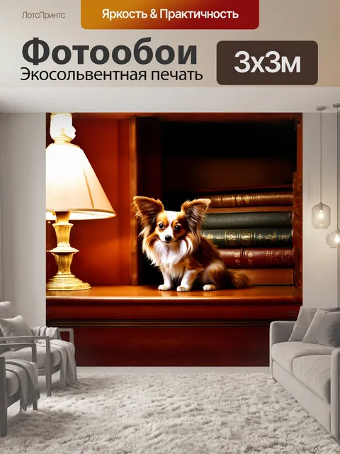 Фотообои папильон, сидя на книжной полке, смотрит на старинные книги, окруженный золотистым светом настольной лампы