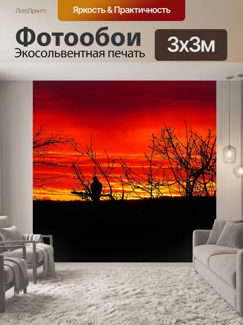 Фотообои Заход солнца