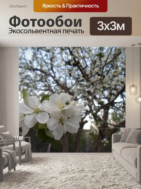 Фотообои Цветы