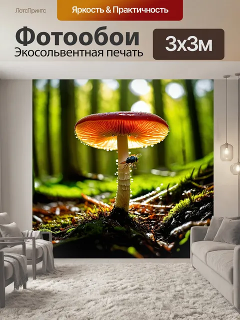 Фотообои поганка, растущая в светлом, лесном окружении, освещенная мягким утренним светом, с каплями росы на её…