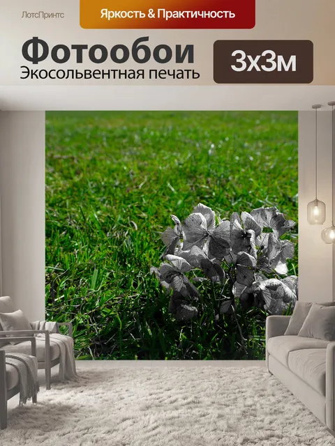 Фотообои Сухие цветы