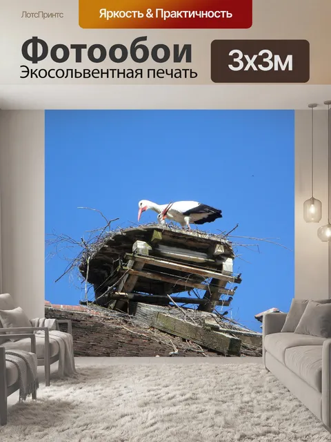 Фотообои Аист