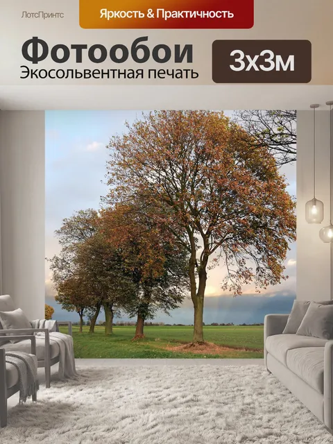 Фотообои Осень