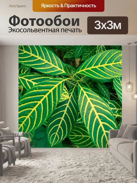 Фотообои листья кротона