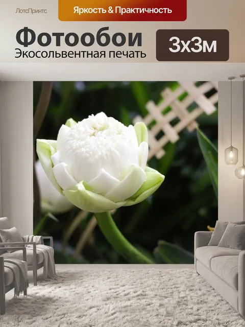Фотообои Цветок