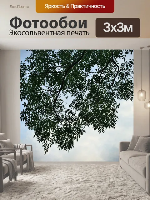 Фотообои гевея ветка