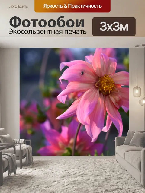 Фотообои Хризантемы 9