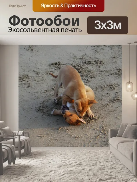 Фотообои Щенок