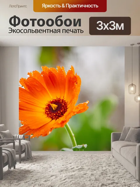 Фотообои Цветок, бархатцы