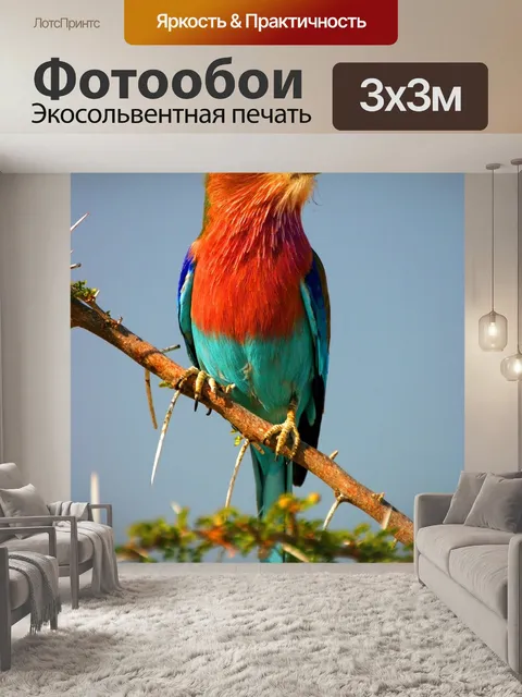Фотообои Вилка колодка