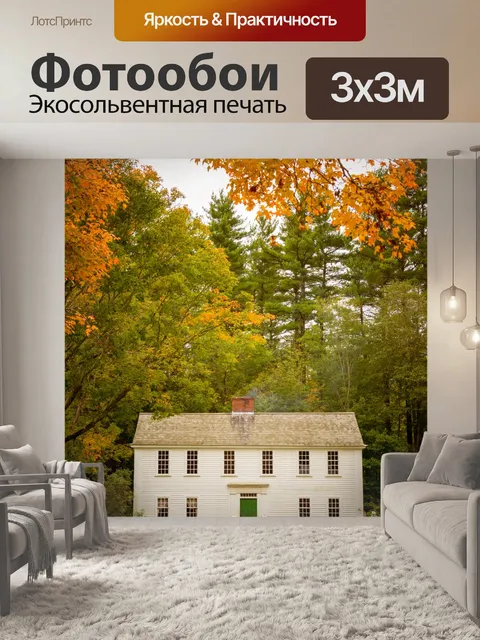Фотообои Исторический дом