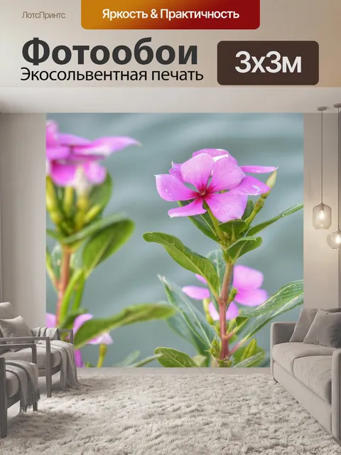 Фотообои Цветы