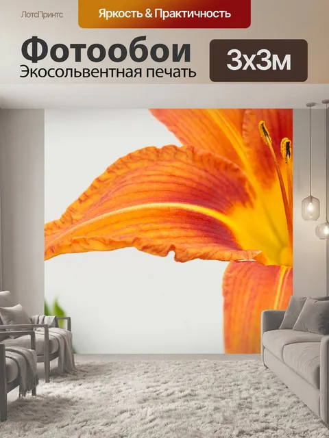 Фотообои Цветок оранжевый