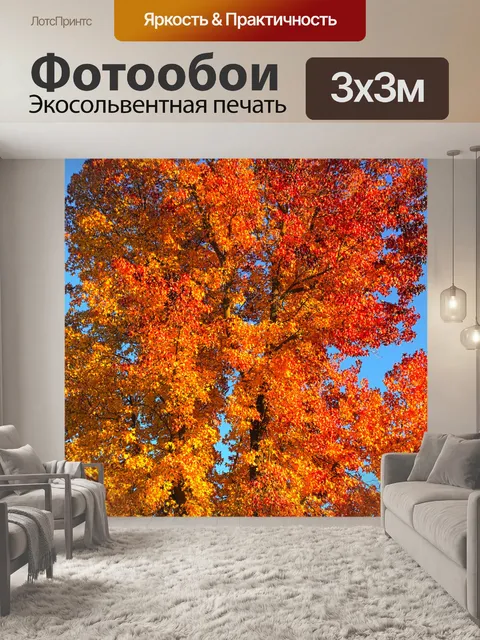 Фотообои Дерево в осень