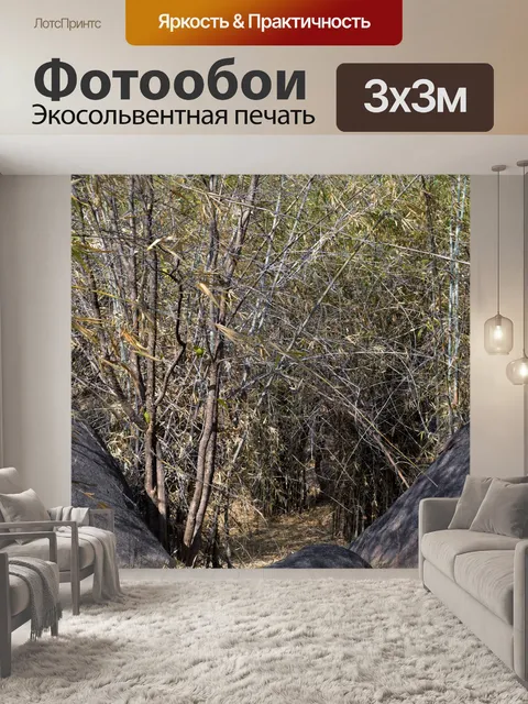 Фотообои Бамбуковый лес 1