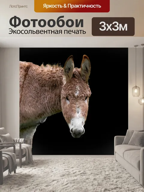 Фотообои Осел, вьючное животное, лошадиные
