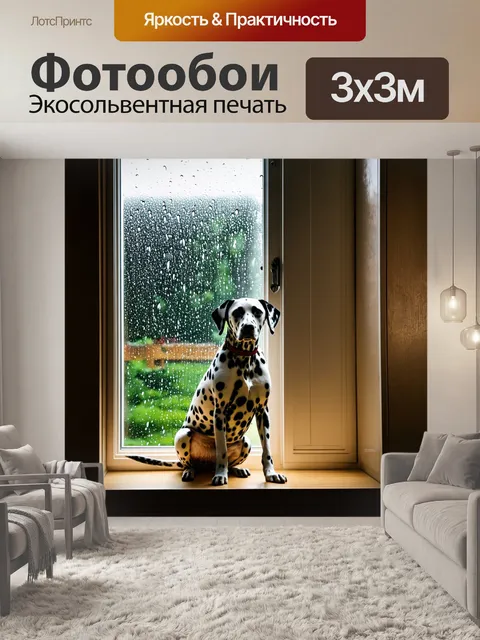 Фотообои далматинец, сидящий у окна, смотрящий на дождь, уютная атмосфера дома, глубокие размышления