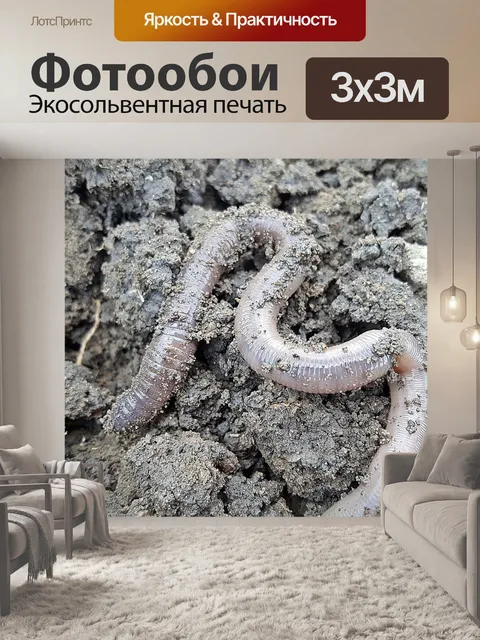 Фотообои Дождевой червь
