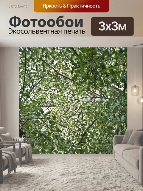 Фотообои Деревья