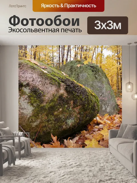 Фотообои Осенние деревья и скалы